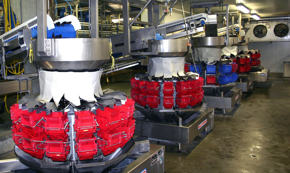 Resilient, seawater-resistant drive systems for seafood factory conveyors